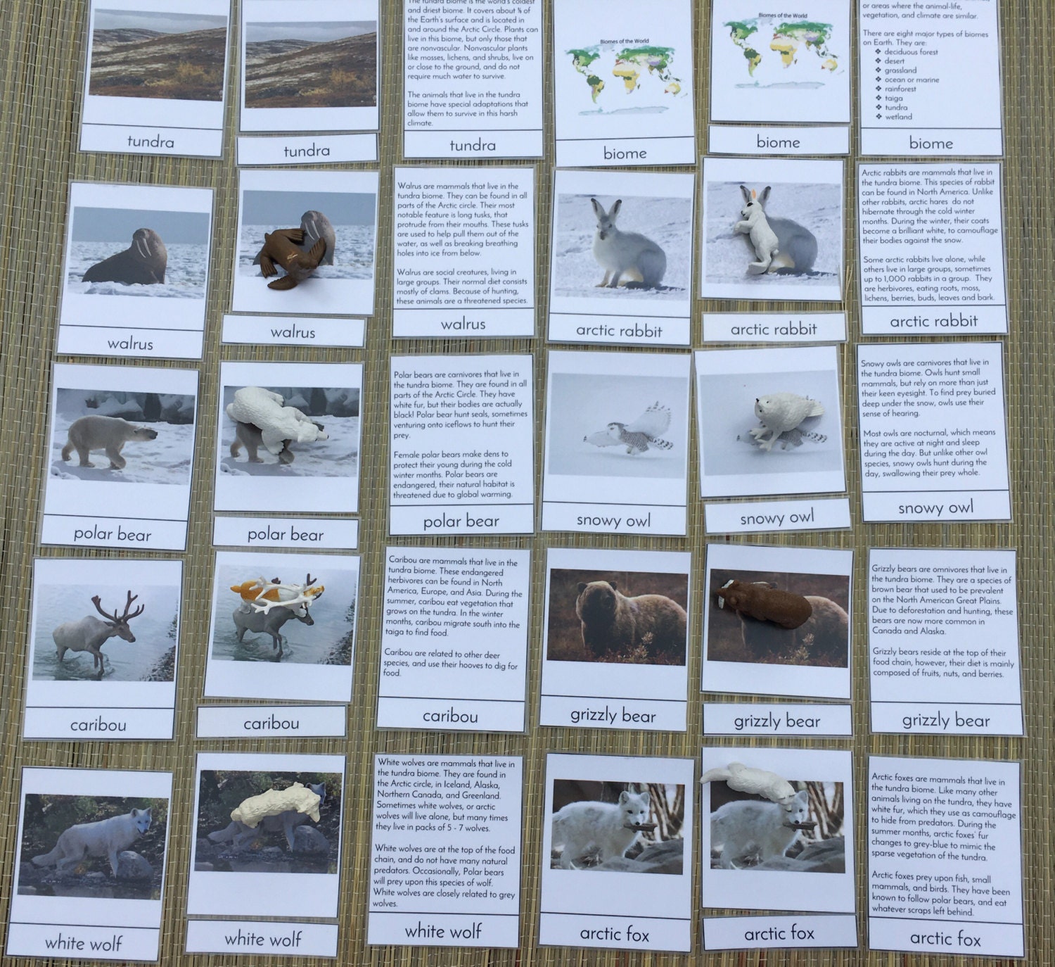 Biome Box Tundra Objects & Three/four Part Cards - Etsy Finland Biome Box Tundra Objects & Three/four Part Cards - Etsy Finland