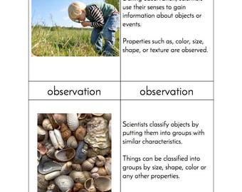 Montessori Scientific Process Skills - Three/Four Part Cards