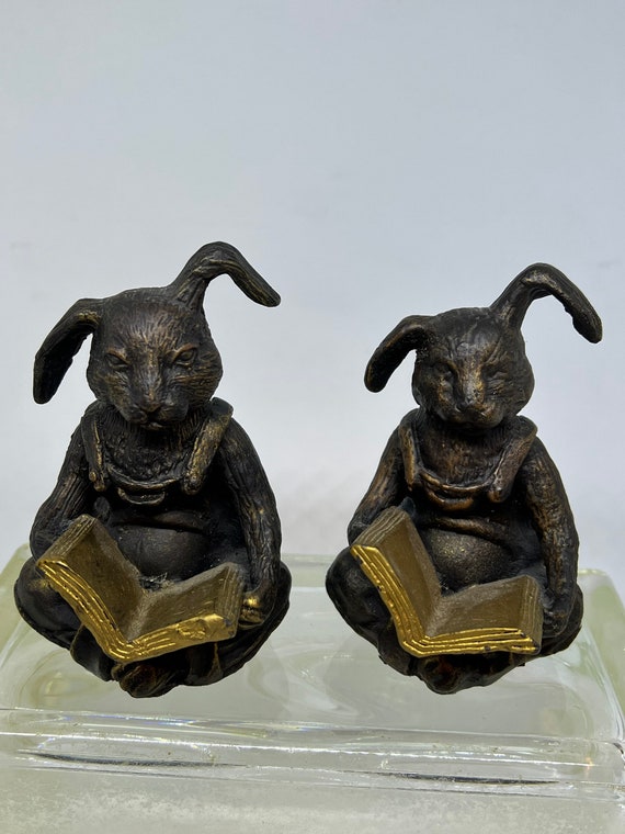 Pair of Anthropomorphized Reading Bunny Rabbit Bronze Bookends - Etsy