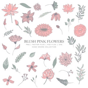 Clipart con flores rosas y color mint pintadas a mano, flores vector, hojas, ramas, flores, pétalos, flores rosas dibujadas a mano eps