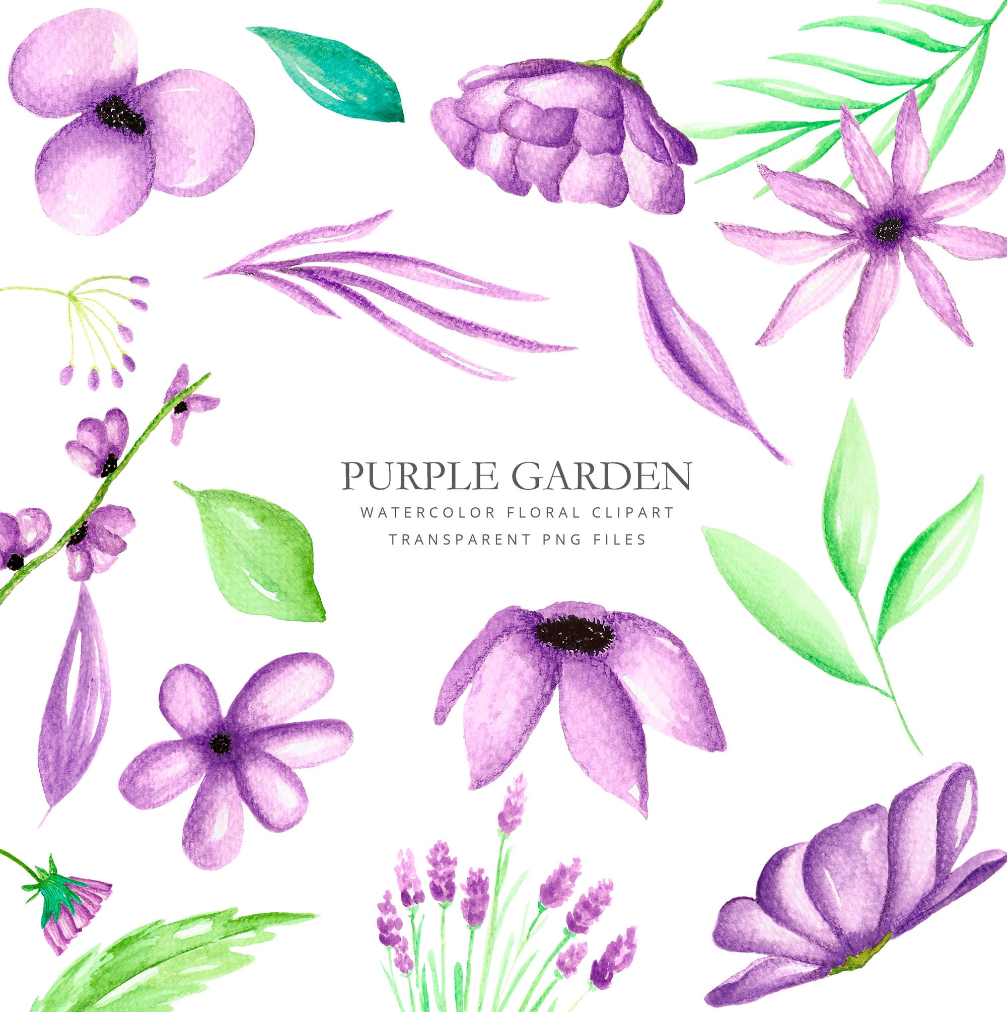 Clipart With Watercolor Purple Flowers Purple Garden Etsy