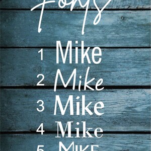 Pu&ograve; includere: Uno sfondo in legno blu con la parola "Fonts" scritta in bianco in corsivo. Sotto la parola "Fonts", ci sono sei diverse varianti del nome "Mike" scritto in bianco, ciascuna con uno stile di carattere diverso. I numeri da 1 a 6 sono scritti in bianco a sinistra di ogni nome.