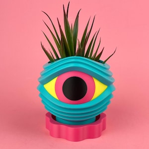 May include: A teal, spherical planter with a large eye design in yellow, pink, and black, holding a green plant with long, thin leaves. The planter sits on a pink, scalloped base against a pink background.