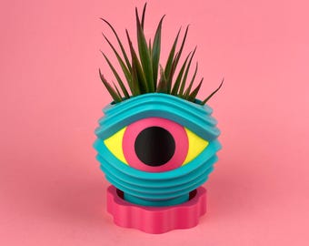 May include: A teal, spherical planter with a large eye design in yellow, pink, and black, holding a green plant with long, thin leaves. The planter sits on a pink, scalloped base against a pink background.