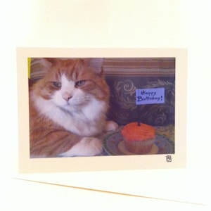 BLANK - Joyeux anniversaire CAT card - Marmelade Chat avec Cupcake - Bonite - Le Maine Coone Cat - Quand puis-je le manger?  - Photo de Brigitte Jacobs