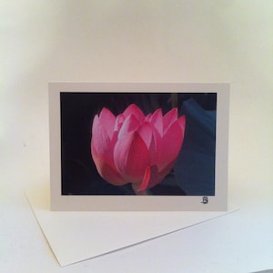 LOTUS - Biglietto di auguri in bianco - Purezza - Simbolismo buddista - Carta buddista - Perfezione finale - Fotografo Brigitte Jacobs