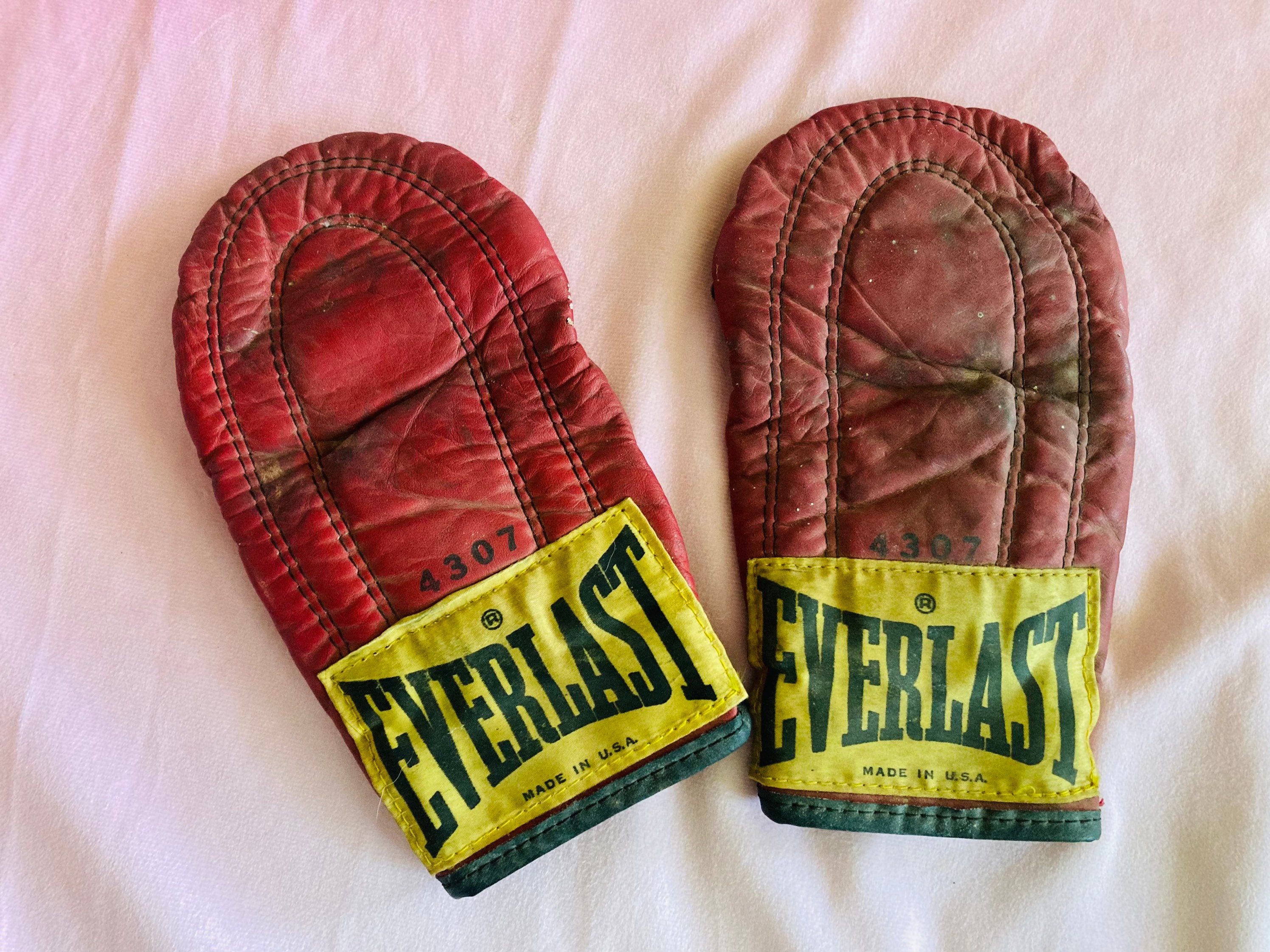 Supreme Everlast print (50x70cm) red gloves