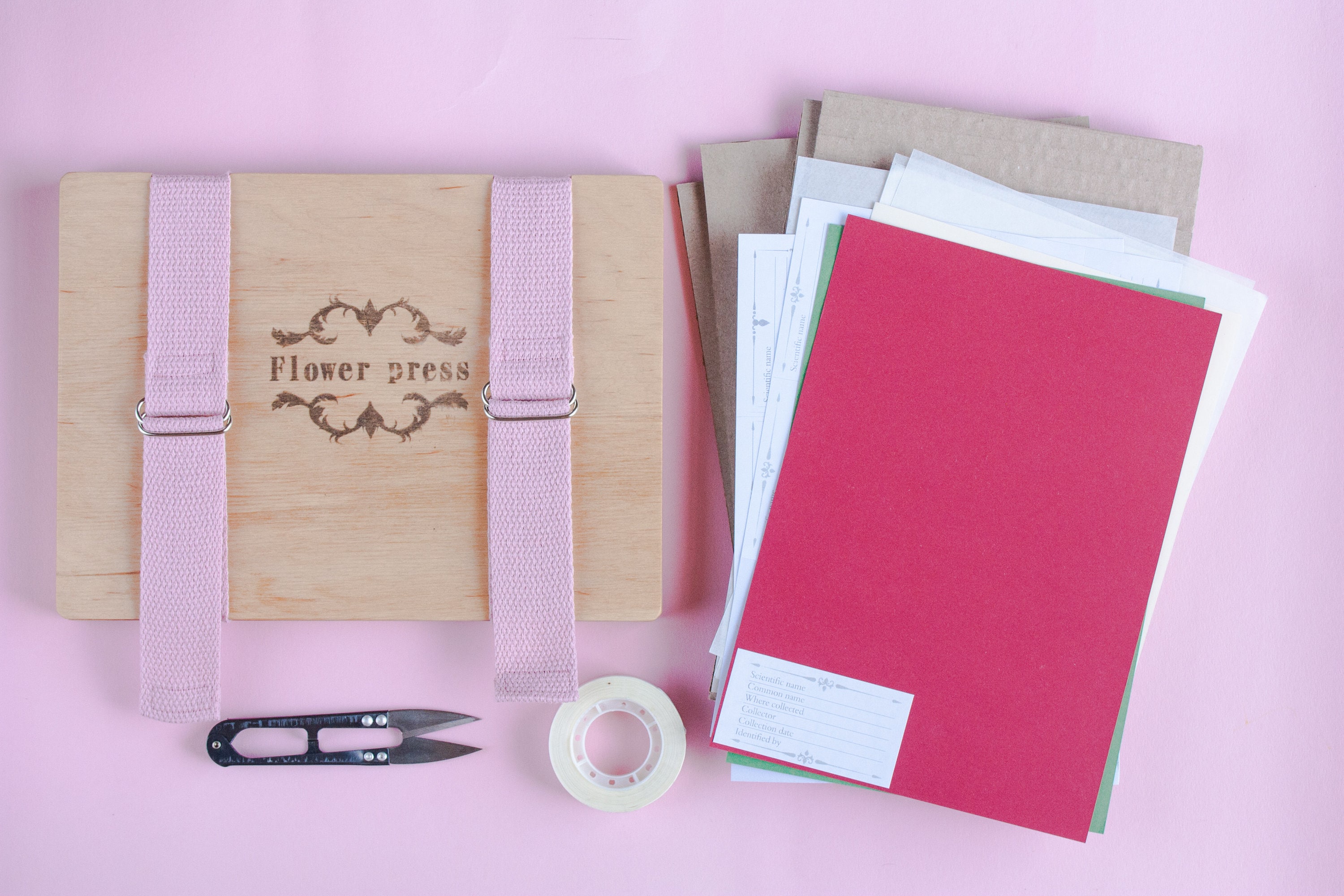 Flower Press Kit Plant Press Botanical Press Pressed Flower Etsy