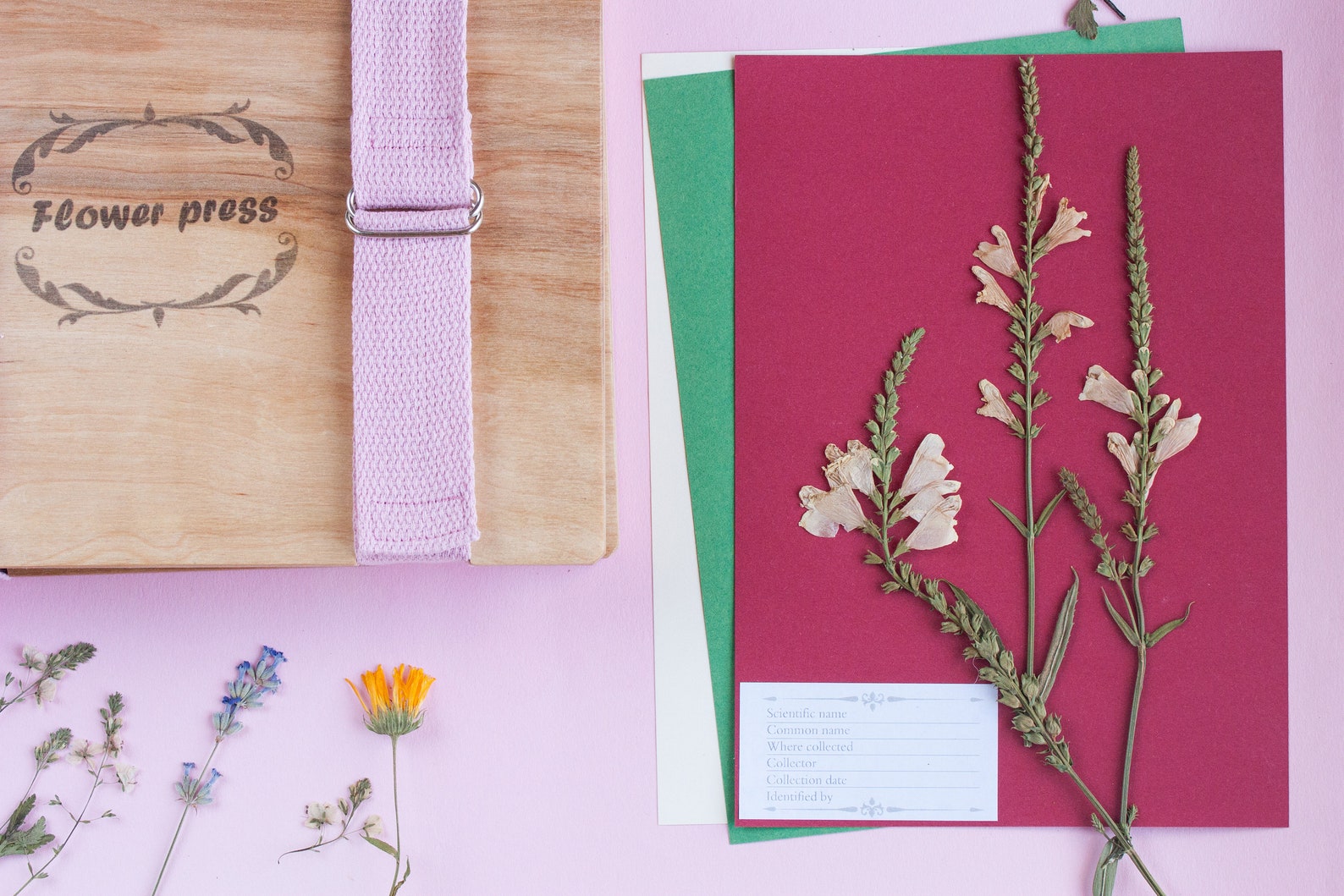 Flower Press Kit Plant Press Botanical Press Pressed Flower Etsy