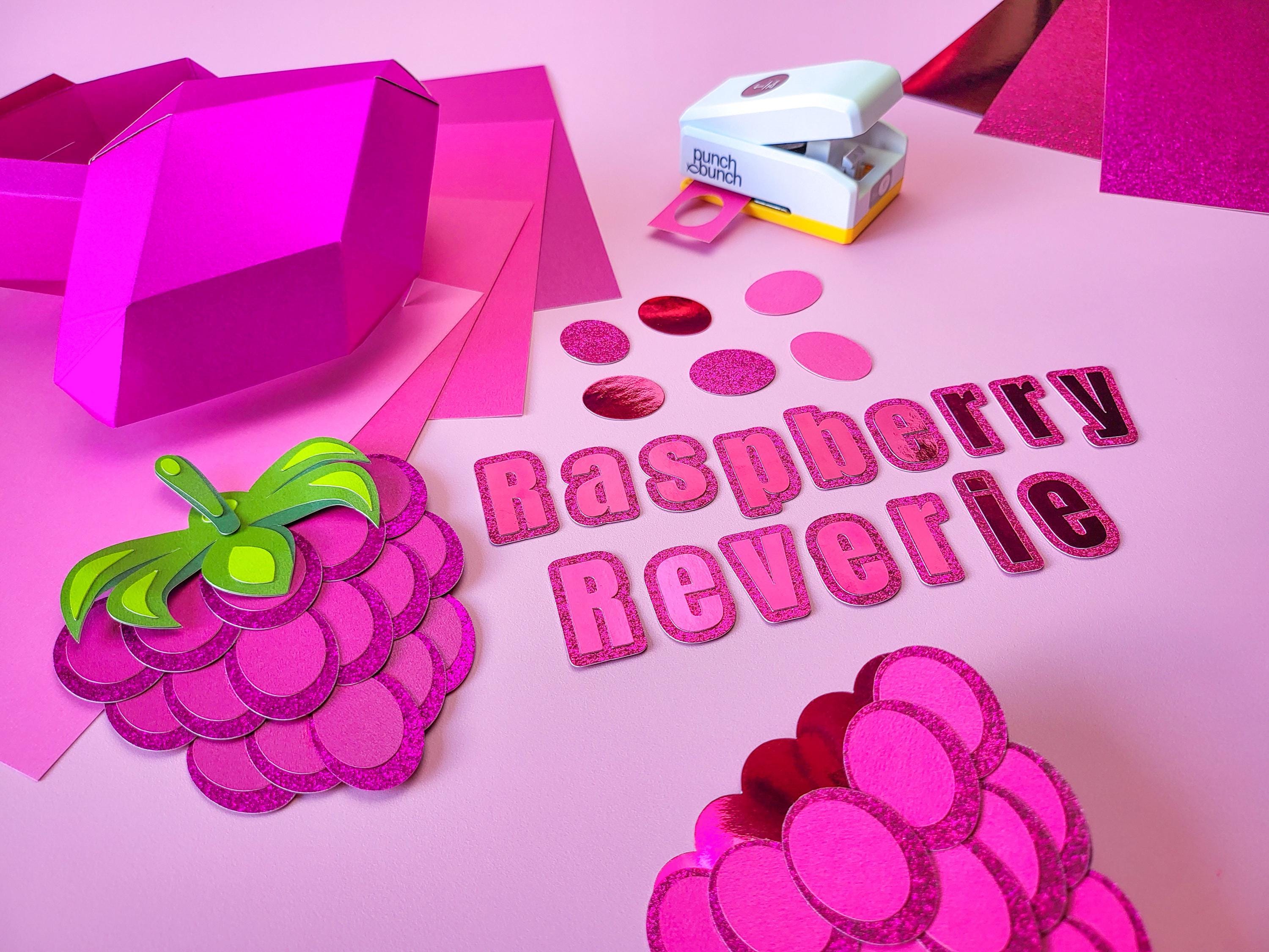 Raspberry Raverie Raspberry Reverie Pink Cardstock – Pearlescent, Glitter, Foil, Satin ...