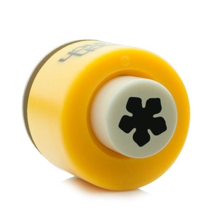 Glockenblume Stanzer - Mini