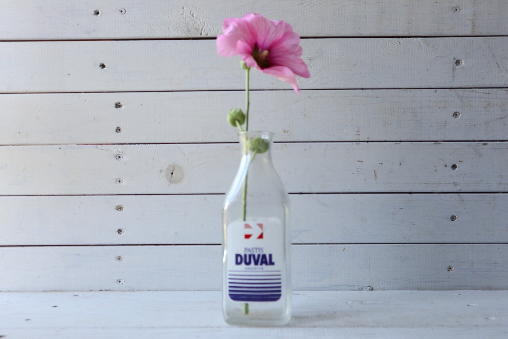 Duval Pastis Anisette Aperitif Marque Carafe d'eau/Pichet, Original Vintage Français Bistro Barware,