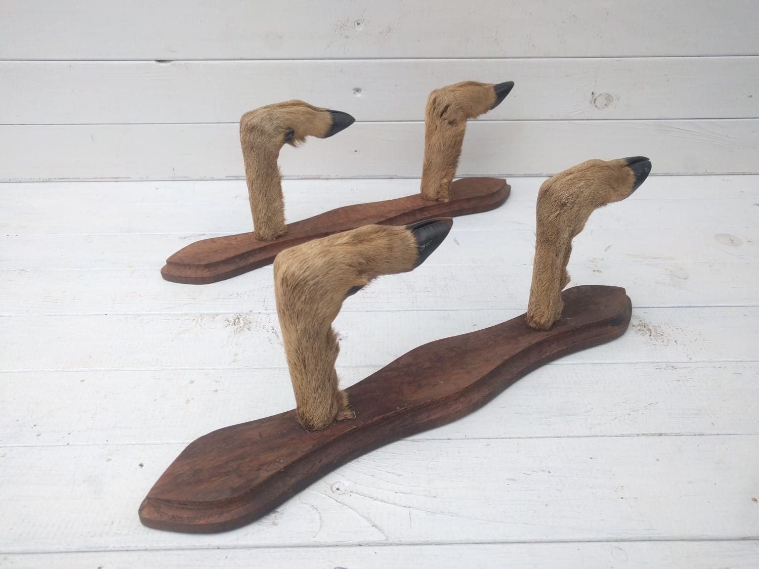 Deer Hoof Gun Rack Vintage French Taxidermy Rifle Rack Gun Etsy