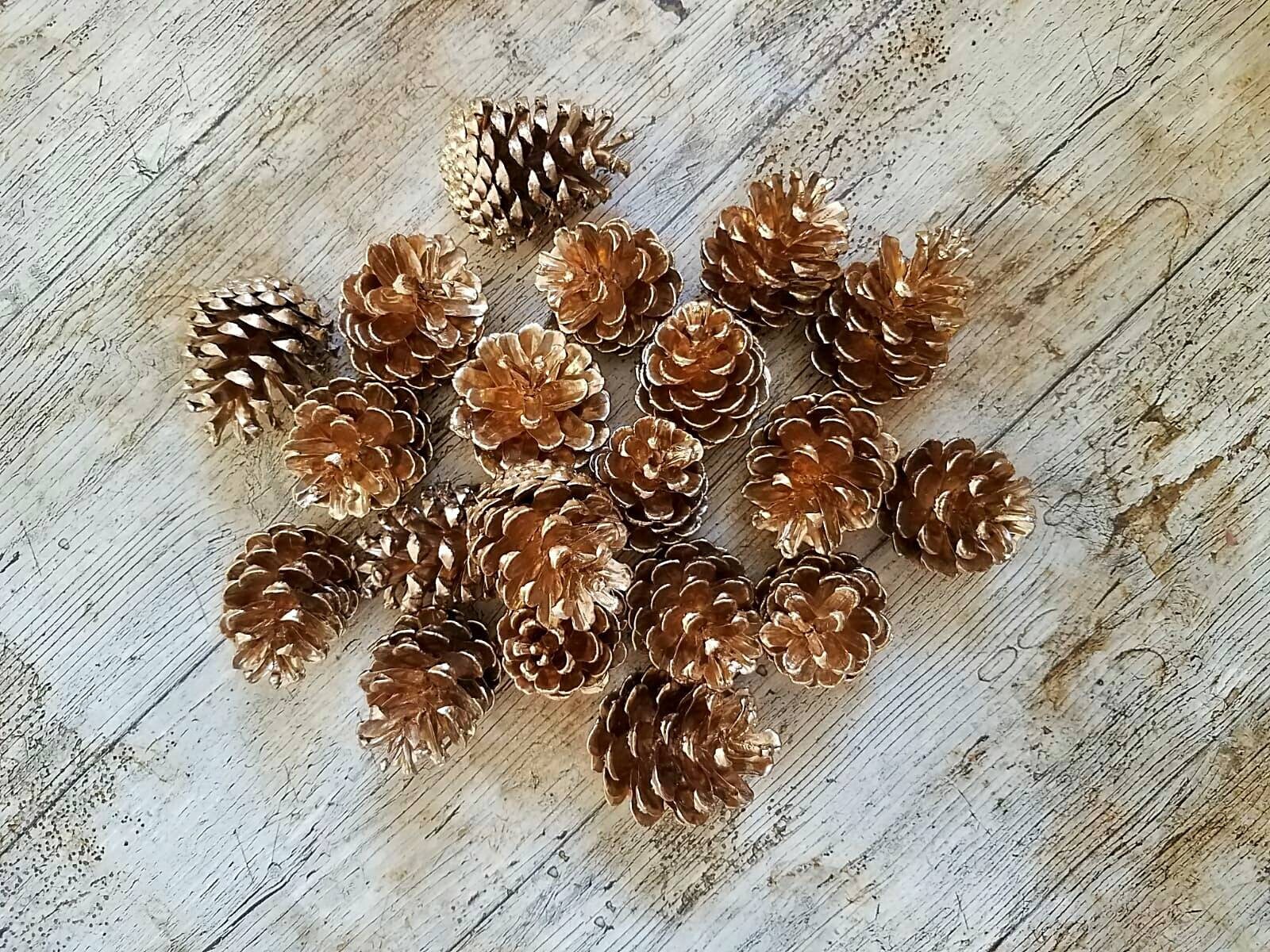 Gold Painted Pine Cones Set of 20 Premium Quality Christmas Etsy