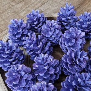May include: A collection of natural pine cones painted in a vibrant purple hue with a subtle glitter finish. The pine cones are arranged in a circular cluster, showcasing their textured, layered scales and pointed tips in a uniform colour.