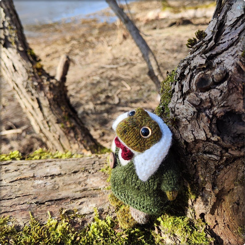 May include: A handmade, knitted frog doll with large, round eyes, wearing a green sweater, a white-trimmed hood, and a red bow tie. The frog is positioned next to a tree trunk in a natural outdoor setting, with moss and fallen logs.