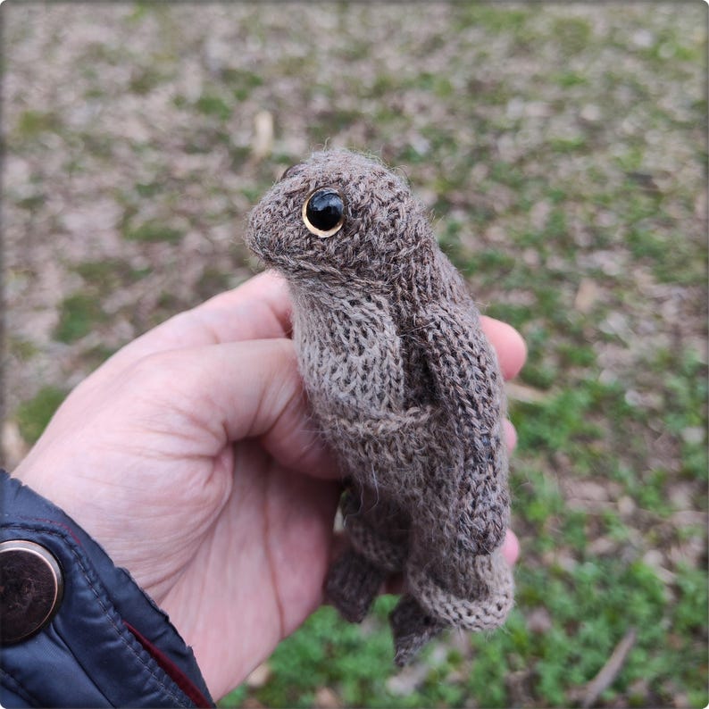 May include: A handmade, knitted squirrel figurine in shades of brown and gray. The squirrel has a detailed texture, a black eye with a gold ring, and a small, pointed nose. The figurine is held in a hand against a blurred outdoor background.