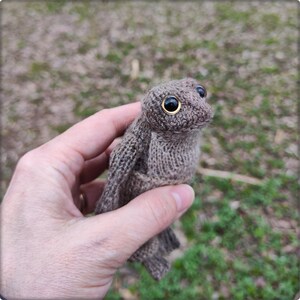 May include: A small, knitted brown bird with large, black eyes and gold-colored eye rims. The bird has a textured appearance and is held in a hand against a blurred background of green grass and brown leaves. The bird's wings and feet are also knitted.