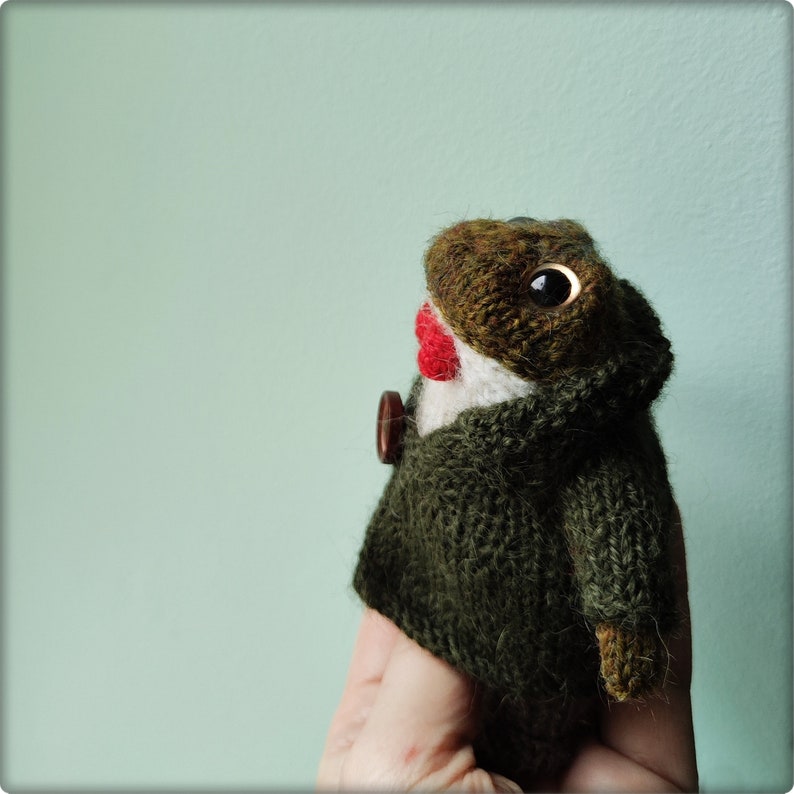 May include: A handmade knitted frog doll with large black eyes, wearing a dark green coat with a brown button. The frog has a brown head and a red and white collar. The doll is held in a hand against a light green background.