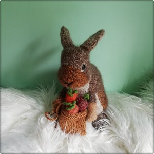 Knitted Wild Rabbit With a Bag of Carrots * Lovely Rabbit Lover Gift ...