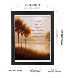 Walden FRAMED Print-henry David Thoreau-life in the Woods Wall Art ...