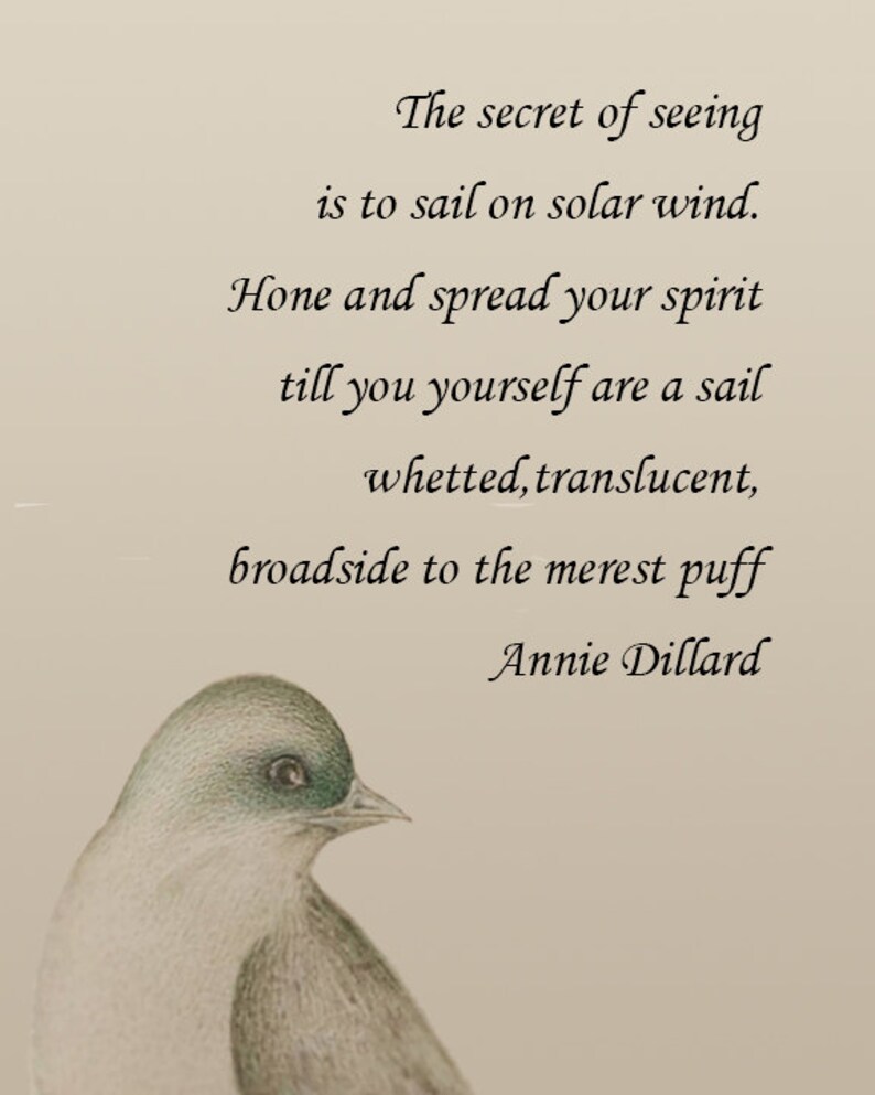 ANNIE DILLARD Print Framed pilgrim At Tinker Creek nature Quote The ANNIE DILLARD Print Framed pilgrim At Tinker Creek nature Quote The