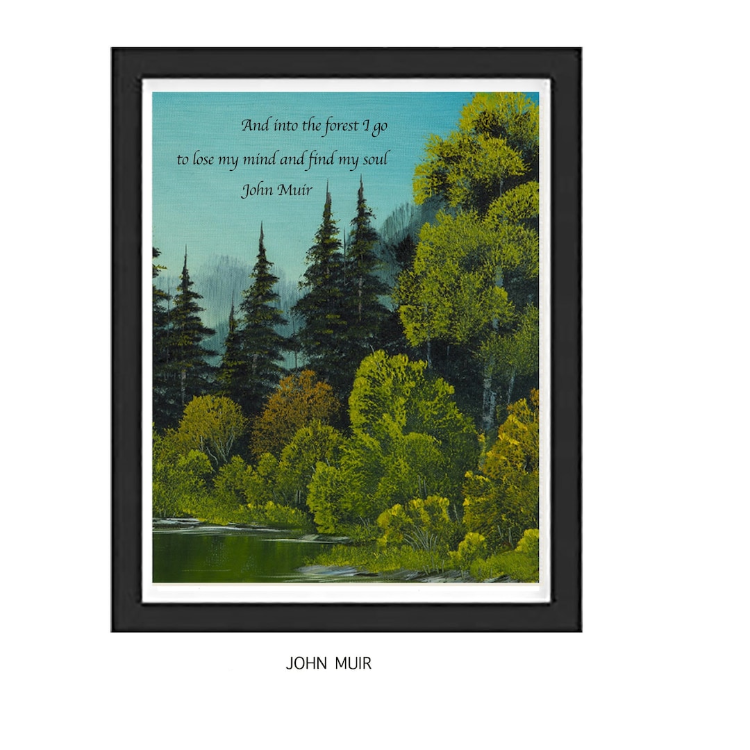 JOHN MUIR FRAMED Print, and Into the Forest I Go,