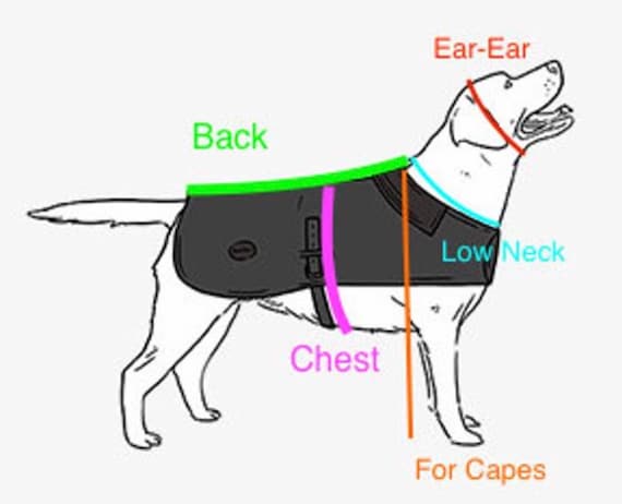 Sherlock Holmes Female Dog Costume Private Detective Crime