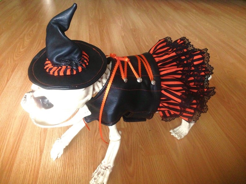 Witch Dog Costume, Female, Leather, Steampunk, Hell Hound, Gothic