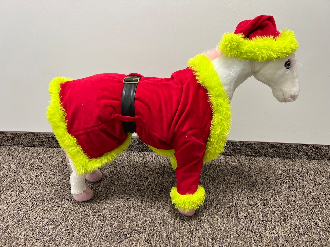 Grinch Dog Costume, XL Dog, Christmas Pet Costume, Funny Pet, Santa