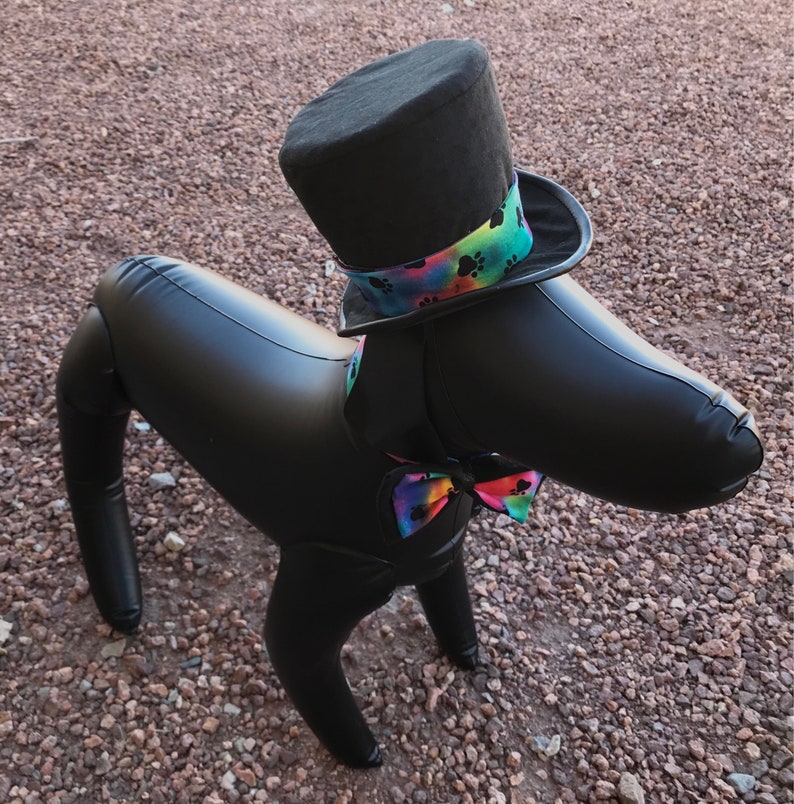 LGBT Wedding Dog Outfit Top Hat Set, Hippy, Bow Tie, Ring Bearer, Pride, Black, Colorful, Tye-dye, Bridal Party, Groomsmen, Rainbow image 5