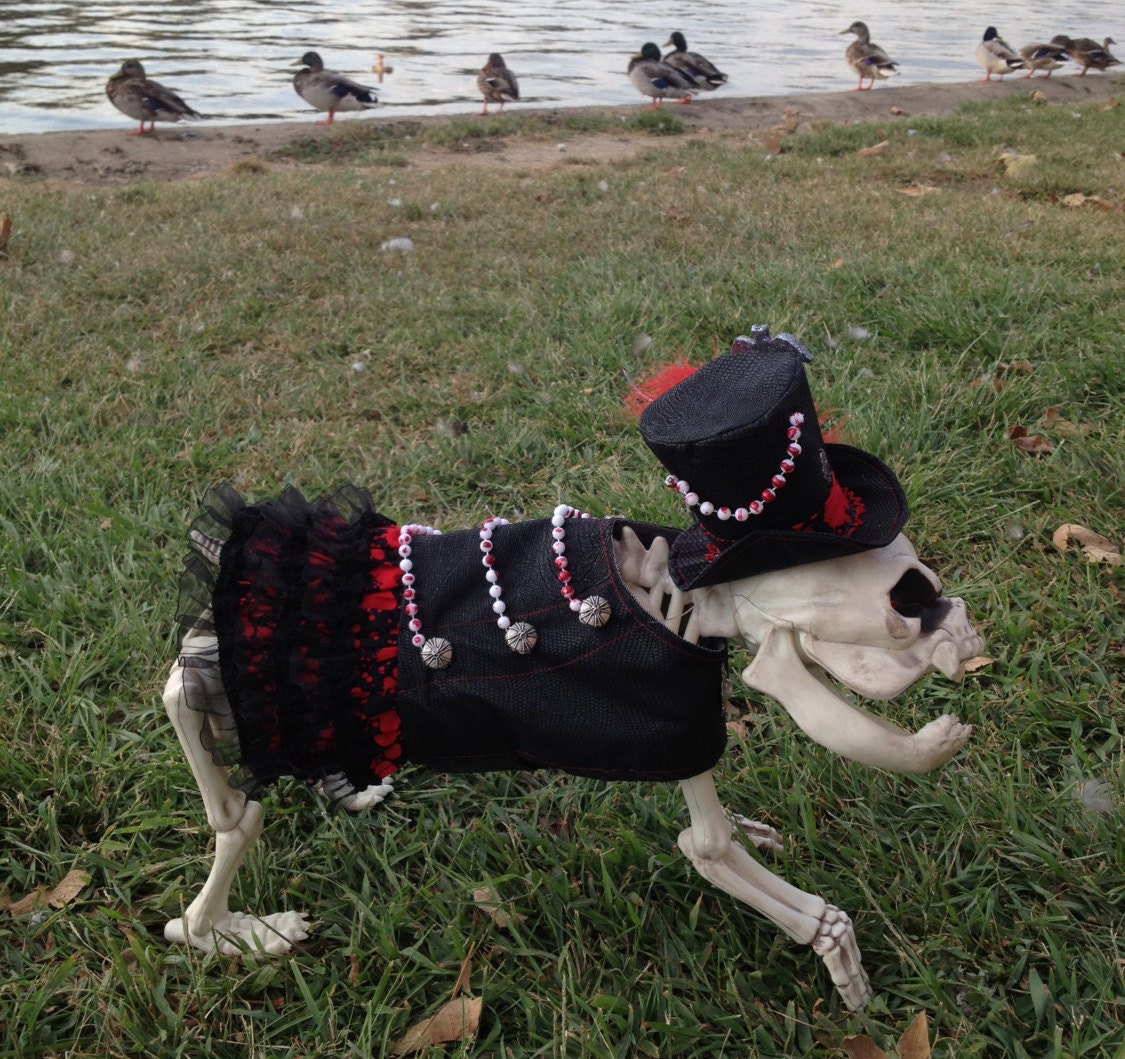 Gothic Wedding Female Dog Costume, Steampunk, Bridesmaid, Flower Girl, Hell Hound, Blood, Black