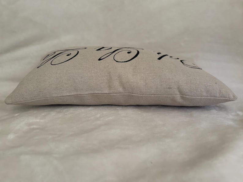 Ooh La La Pillow, french country throw pillow, french farmhouse pillow, french country decor, throw pillow, country decor, cottage decor image 6