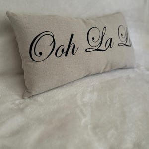Ooh La La Pillow, french country throw pillow, french farmhouse pillow, french country decor, throw pillow, country decor, cottage decor image 2