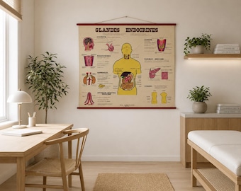 Vintage Original BOTANICAL Chart 2 sides 1974 (french)