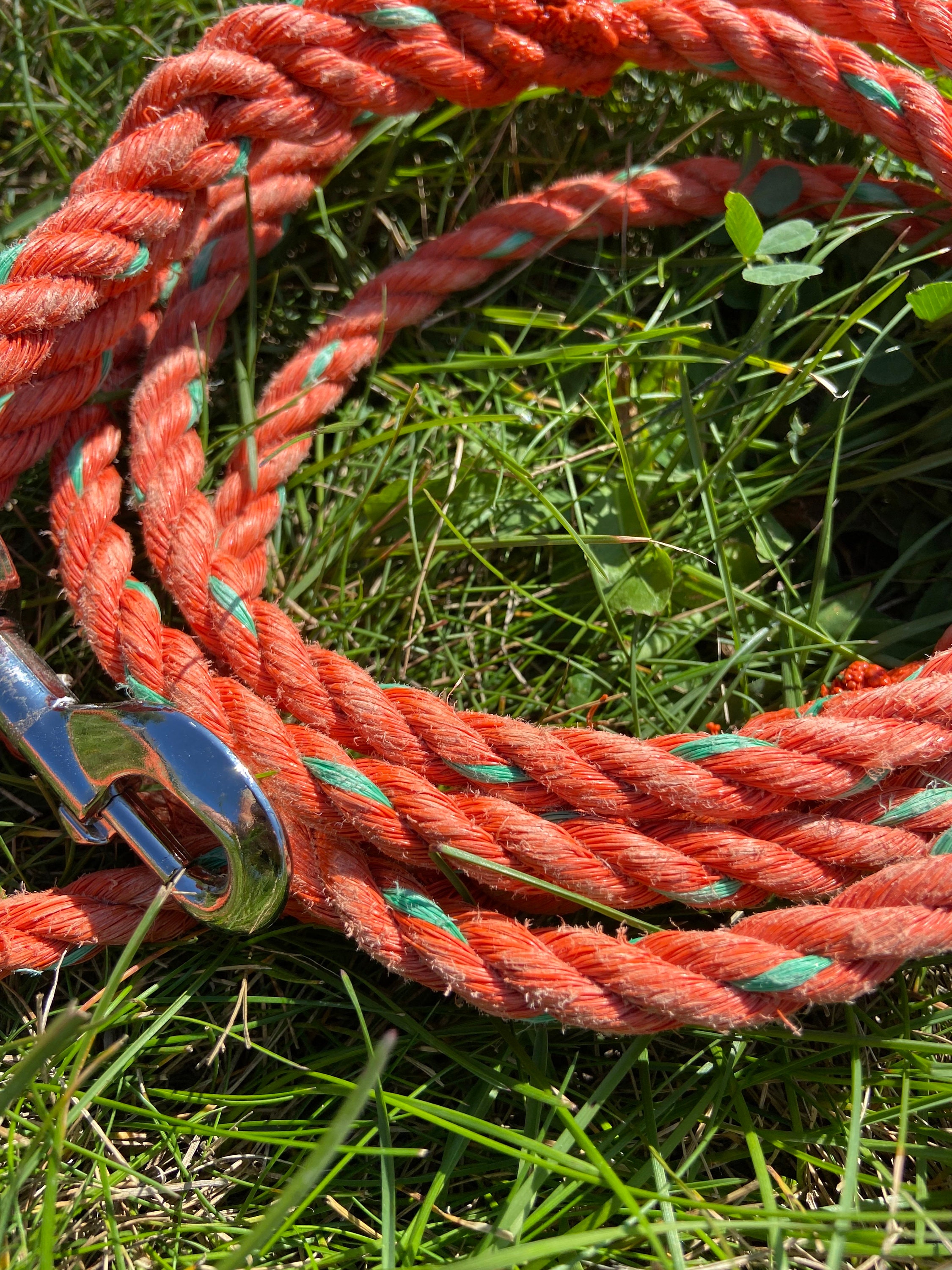 Coastal Rope Dog Leash, Lime 6 Foot main image 0