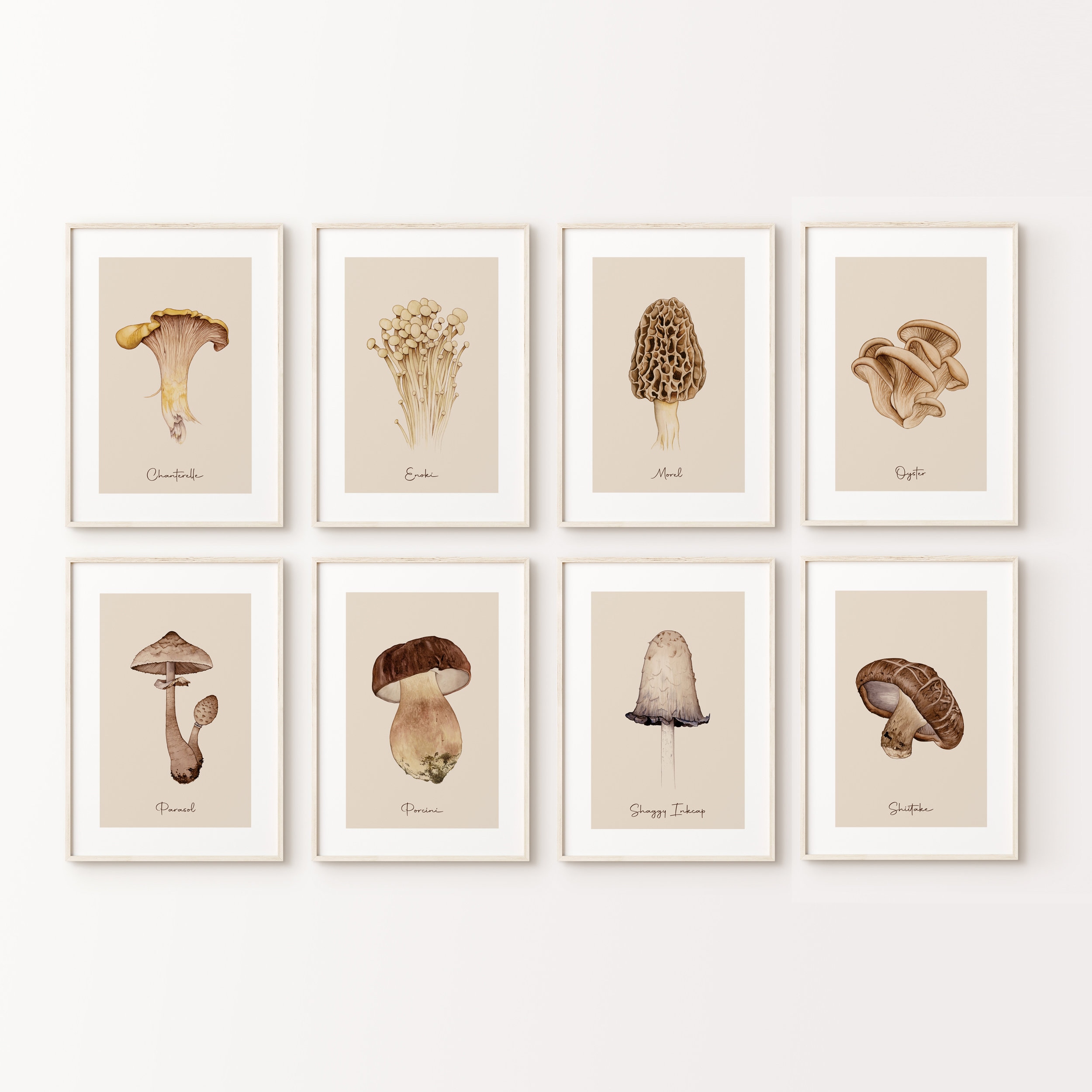 Porcini Bolete Mushroom Botanical Art Print Color Plate/ -  Portugal