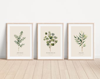 SIGNED set of 3 eucalyptus giclee prints, A4, green and neutral prints, neutral wall art, watercolour painting, botanical art [unframed]
