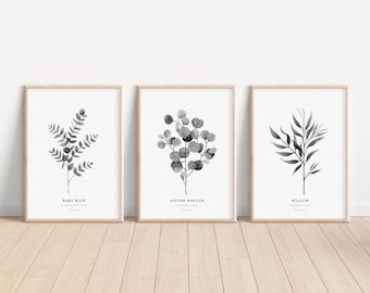 Signed Eucalyptus Watercolor Print Set: Botanical Wall Art (A4 Unframed)