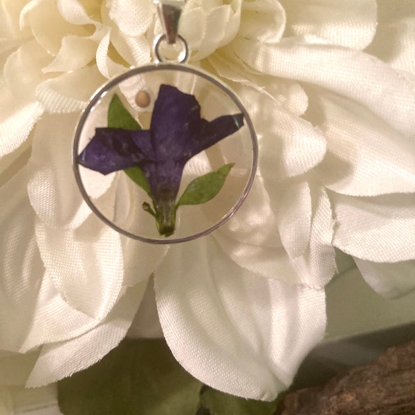 Real periwinkle flower, leaves, and mustard seed pendant on 18in chain