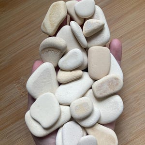 May include: A collection of smooth, pale cream-coloured beach stones. The stones are of various sizes and shapes, with rounded edges and a natural, weathered look. Some stones have subtle tan markings. The collection is held in a person's hand, against a wooden background.