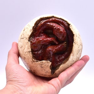 Può includere: Una mano tiene un uovo di dinosauro in ceramica con un guscio rotto che rivela un dinosauro rosso all'interno.