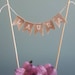 see more listings in the Cake topper bunting section