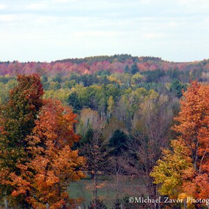 Autumn Trees- Scenic Fall landscape photograph