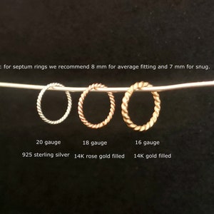 20g 18g 16g Twist Septum Daith Conch Nose Lobe Jewelry - Conch - Nose