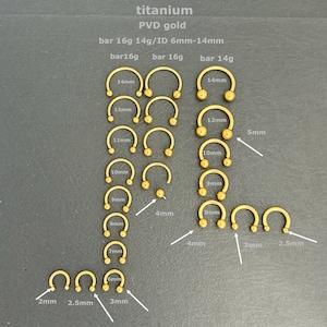 2 Stück - 16g 14g - Titan mit Innengewinde - Mini Ball Knorpelspirale - Hufeisenseptum