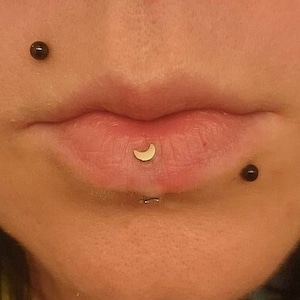 16g - Implant Grade Titanium - Vertical Lip Ring - Internally Threaded