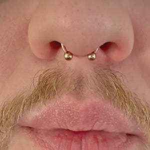 1 PC  - 20g 18g 16g 14g 361L Stainless Steel - Septum Horseshoe - Nose Horseshoe - Cartilage -Daith Horseshoe
