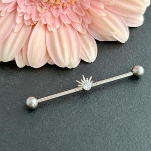 1 pcs - 14g 38mm Implant Grade Titanium - Industrial Barbell - Internally Threaded