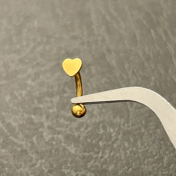 16g ‣ Implant Grade Titanium • Heart Vertical Piercing • Heart Rook Ring • Internally Threaded 38